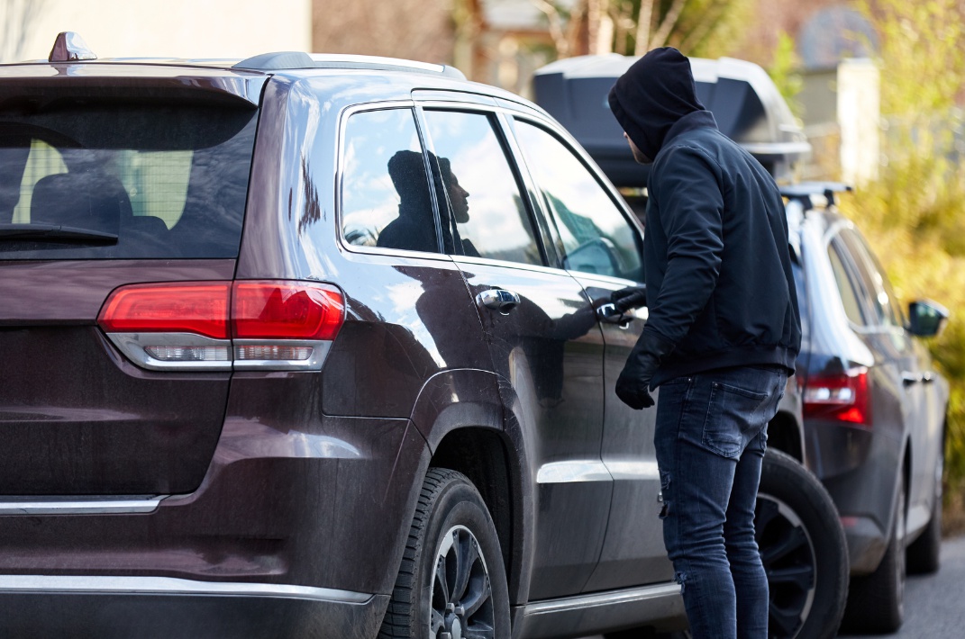 GESTORÍA VEHICULAR ESTADO DE MÉXICO